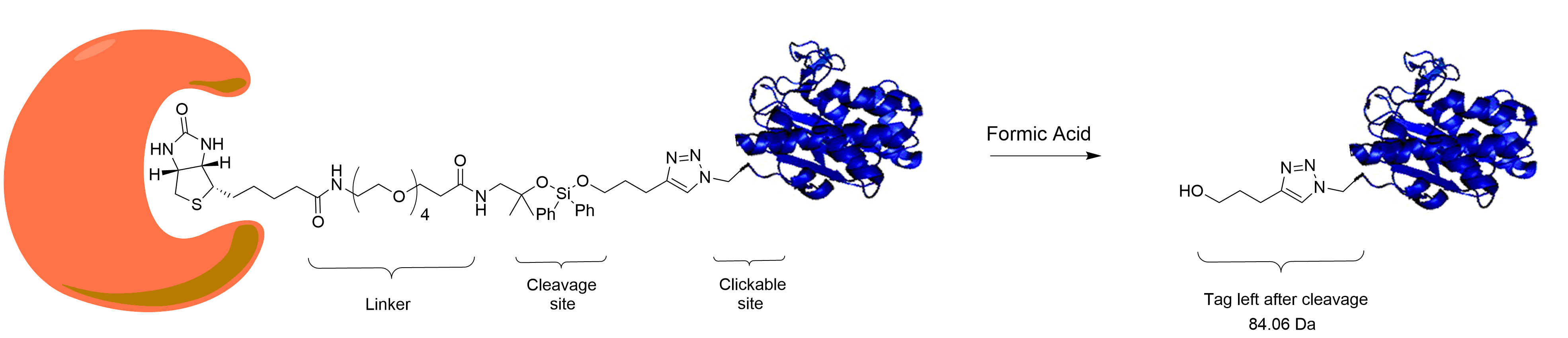 1442-scheme